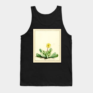 Tiger jaw succulent - Faucaria subintegra - botanical illustration Tank Top